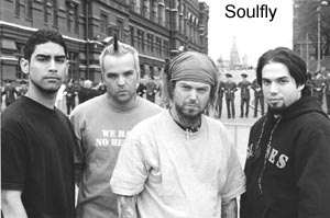 max and soulfly
